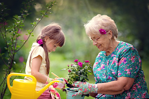 Spring Activity Recommendations for you and Your Senior Loved One - Carrollton, GA