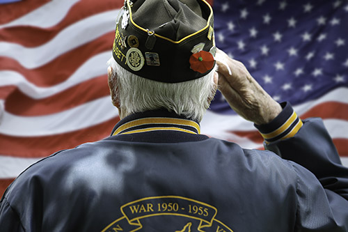 Preparing Your Senior Loved One for Memorial Day - Carrollton, GA